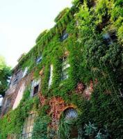 Margutta 54 Luxury Bed & Breakfast 2*